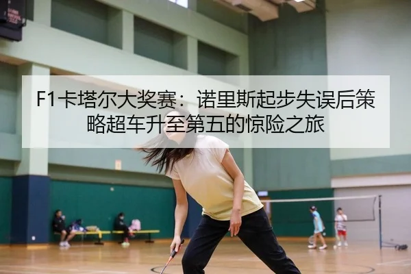F1卡塔尔大奖赛：诺里斯起步失误后策略超车升至第五的惊险之旅（yaxin）